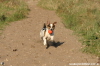 Photo of Dog Playing with a Ball